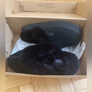 Ugg Disquette